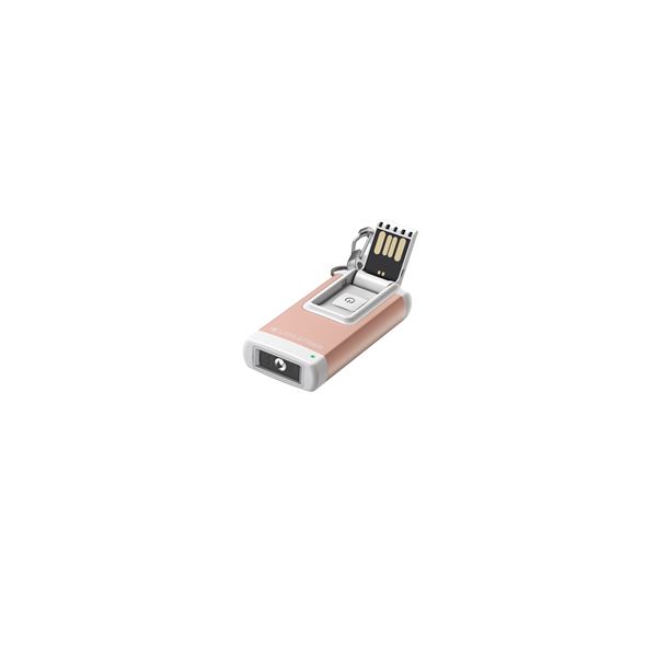 LEDLENSER K4R ROSE GOLD