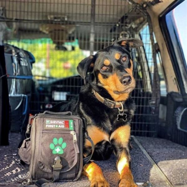 Survival First Aid Kit Pet (CZ)