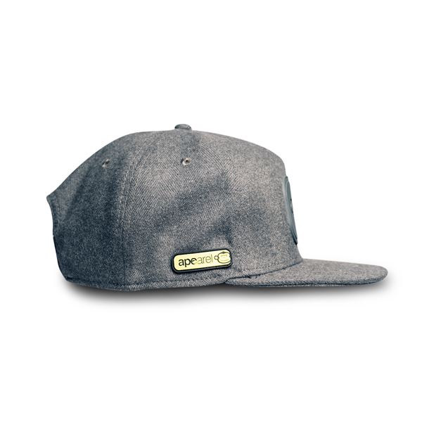 APEarel Dropback Snapback Grey